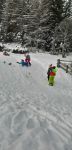 Img 20220311 Wa0041