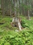 Img 20220707 Wa0048