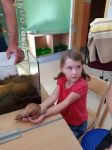 Img 20220929 Wa0025