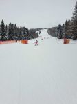 Img 20230120 Wa0006