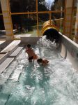 Img 20221118 Wa0040