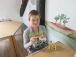 IMG 4937