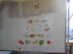 Kartoffelbuch  Avolino  Buchausstellung 012