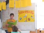 IMG 4286