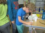 IMG 4954