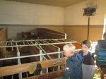 Schule 049
