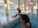 IMG 4531