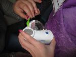 IMG 5506