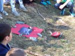 IMG 20170331 153551