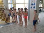 IMG 5458