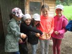 Img 5621