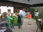 Img 5649