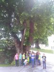 Img 20180608 114852