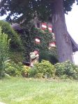 Img 20180626 111835