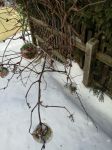 Img 20200121 Wa0034
