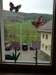 Img 20210601 Wa0071