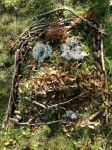 Img 20201123 Wa0034