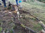 Img 20201123 Wa0039