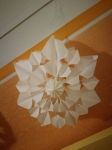 Img 20210304 Wa0009