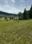 Img 20210713 Wa0076