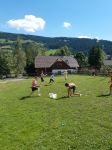 Img 20210713 Wa0051