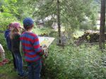 Schule 105